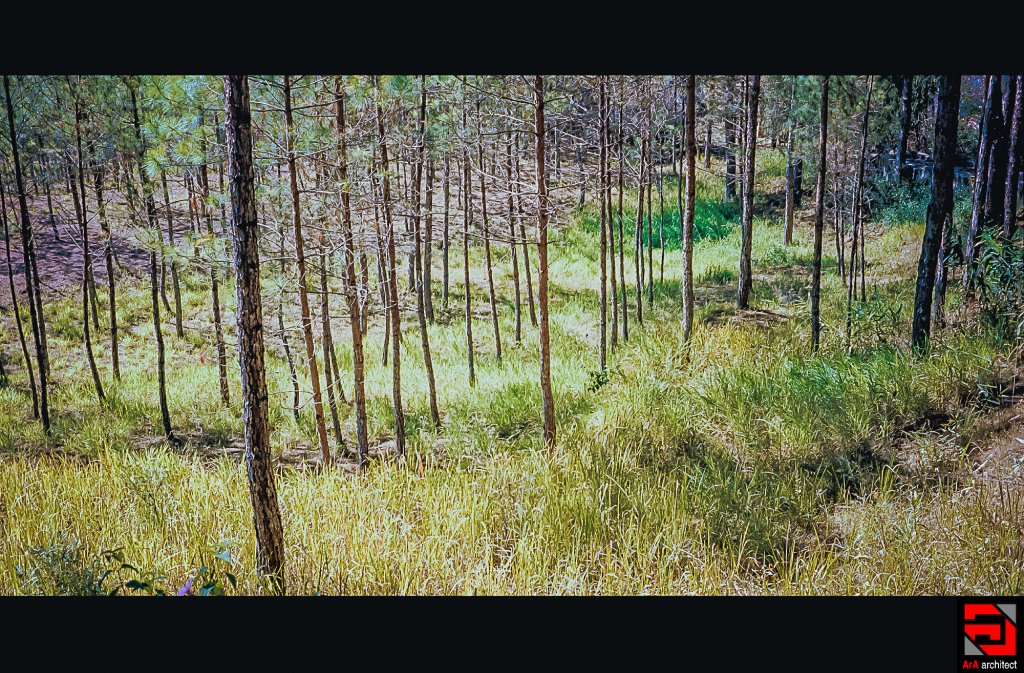 Scan-0001.JPG