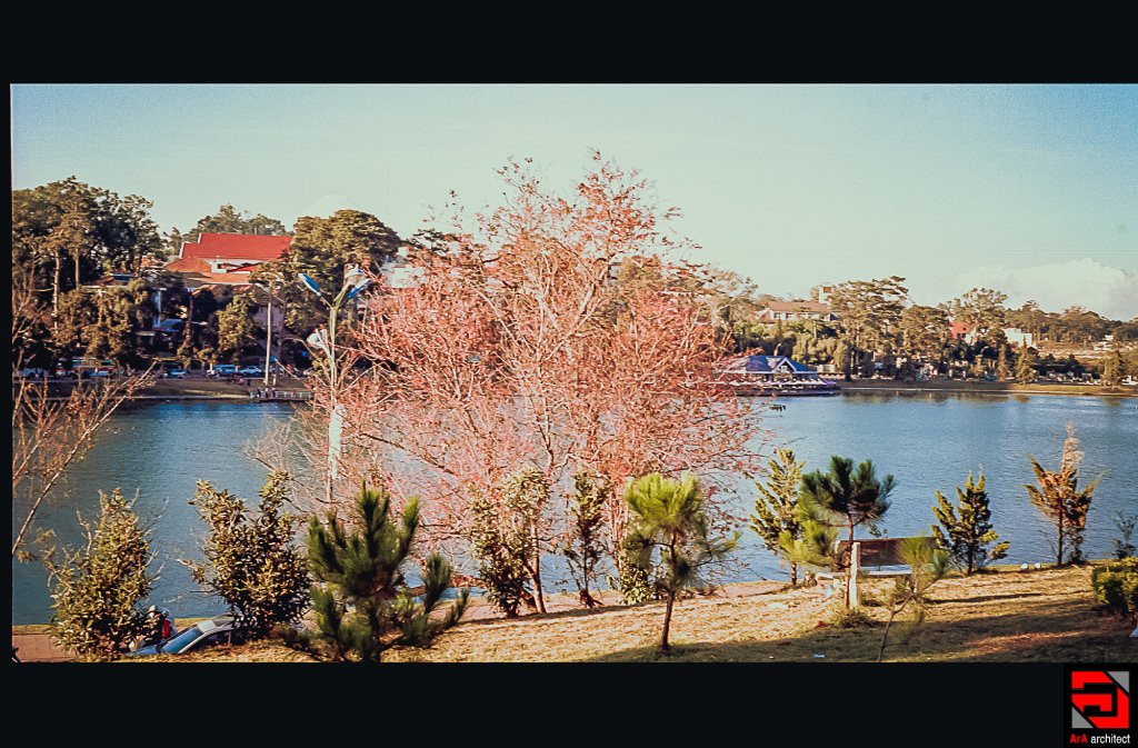 Scan-0017.JPG