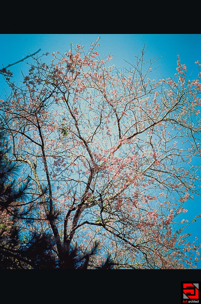 Scan-0032.JPG