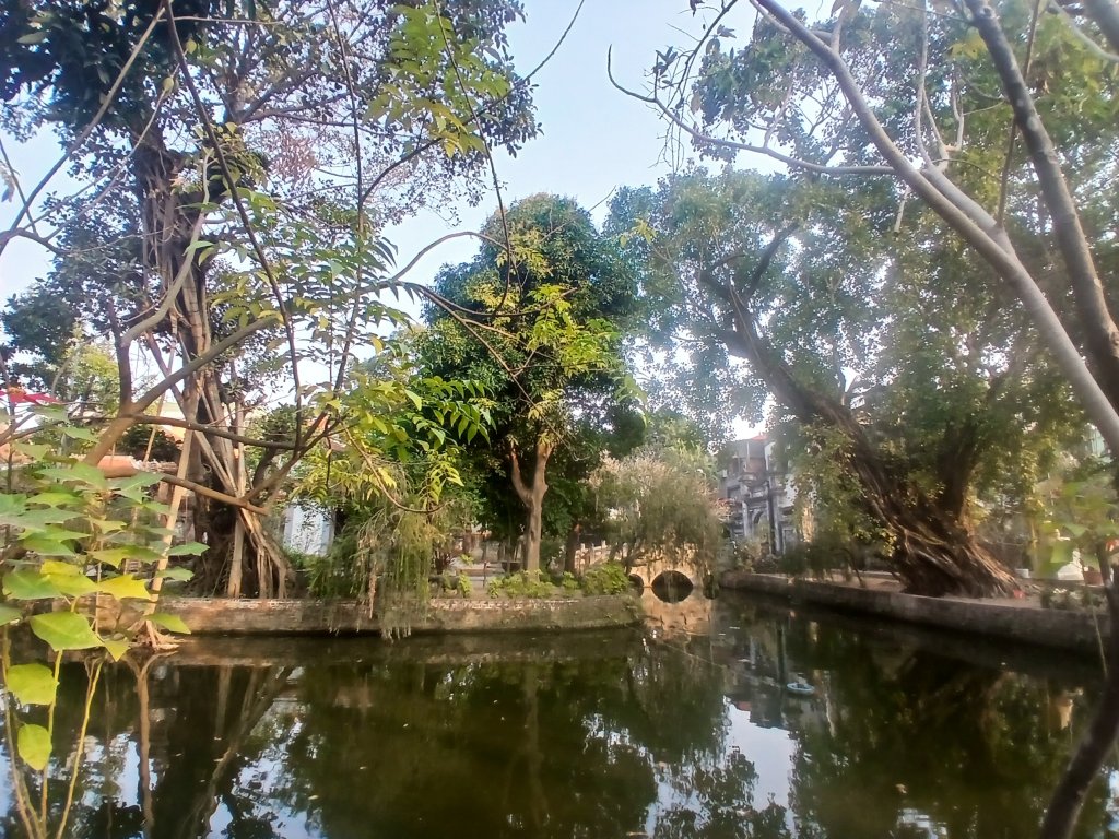 20260110_160335.jpg
