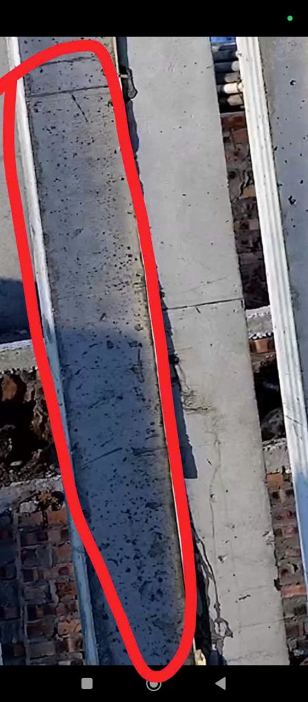 1000009130.jpg