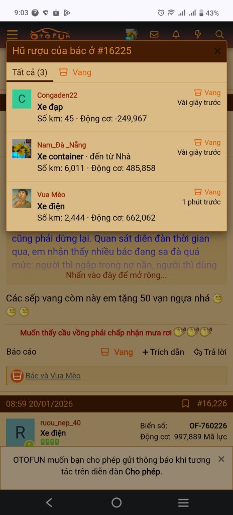 20023.jpg