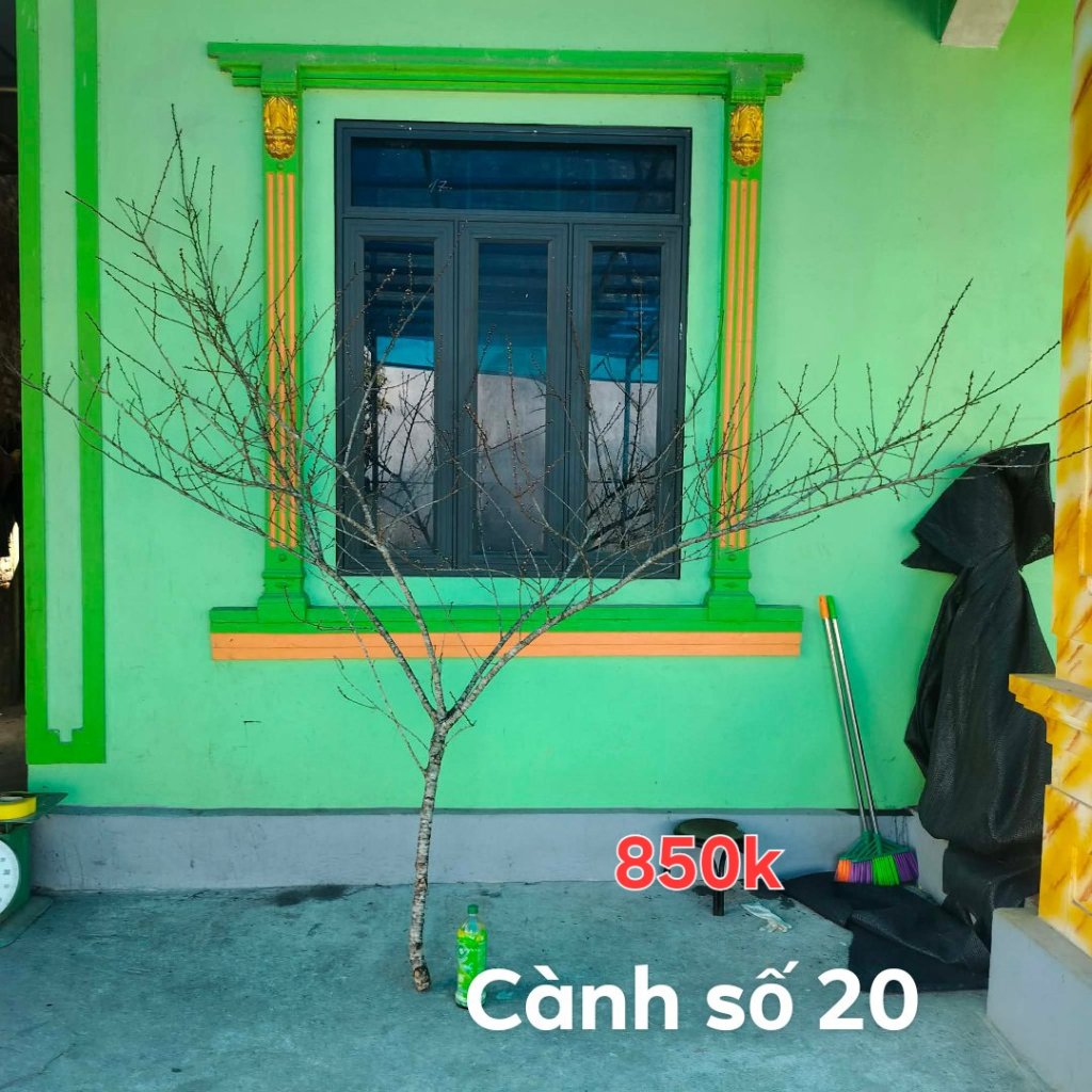 1000087508.jpg