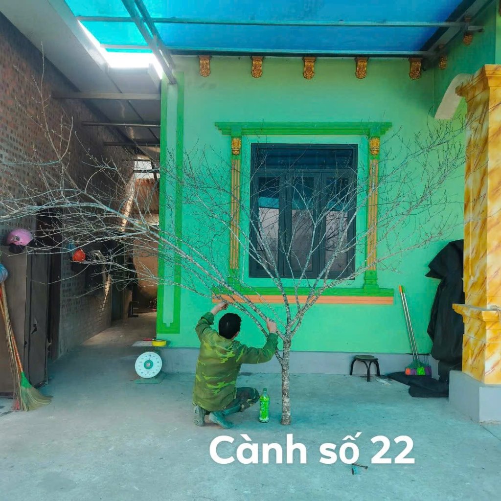 1000087575.jpg