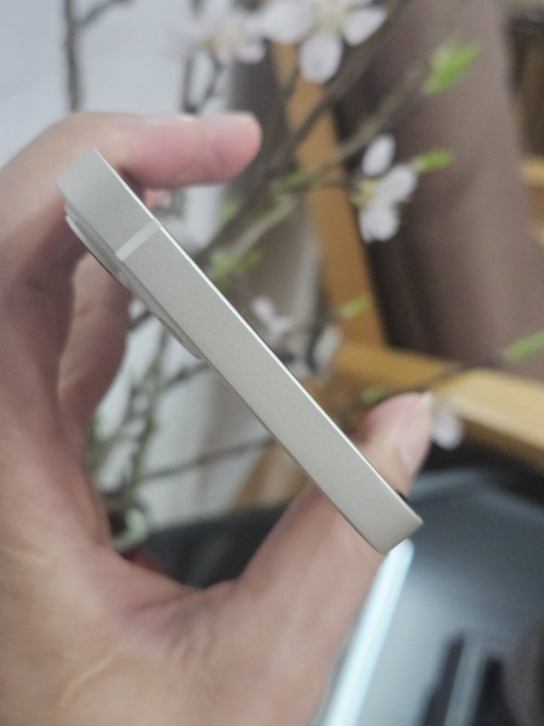 27866.jpg