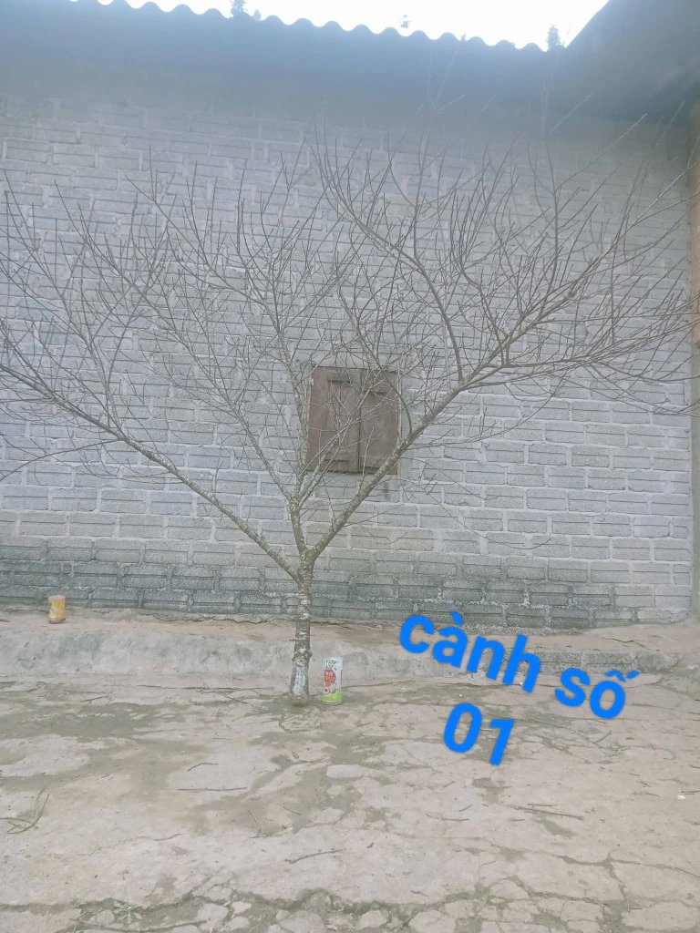 1000087638.jpg