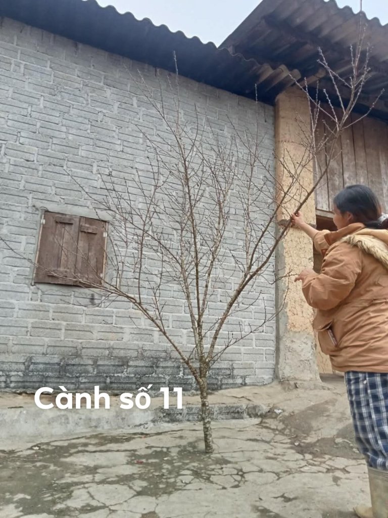 1000087433.jpg