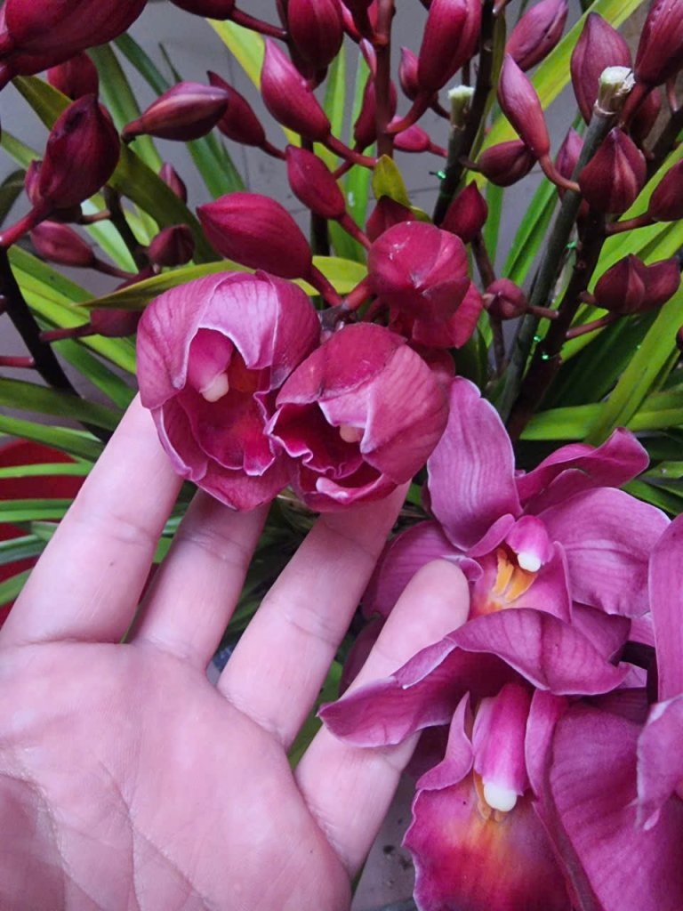 1000087666.jpg