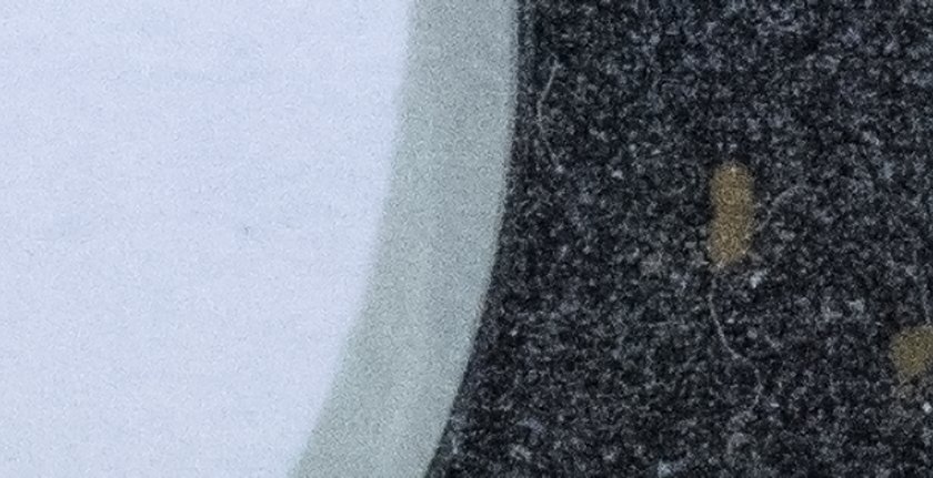 IMG_1425Crop.JPG