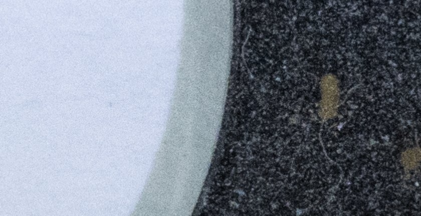 Blend01Crop.JPG
