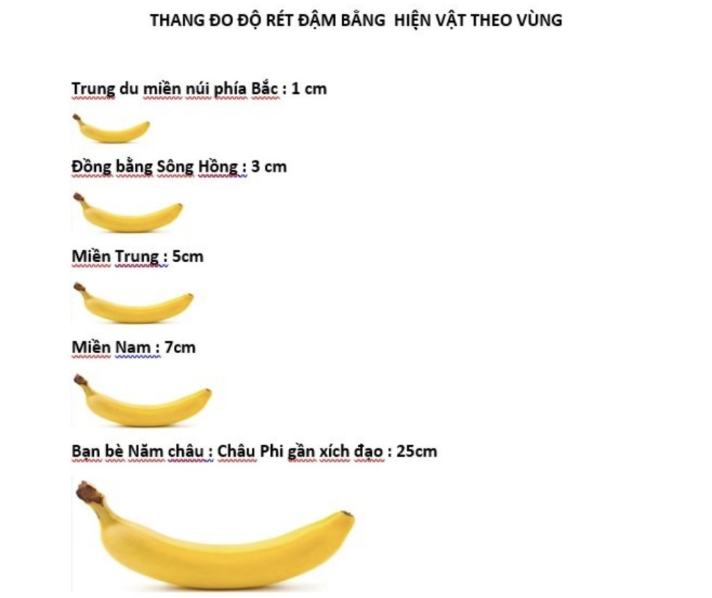 1000115923.jpg