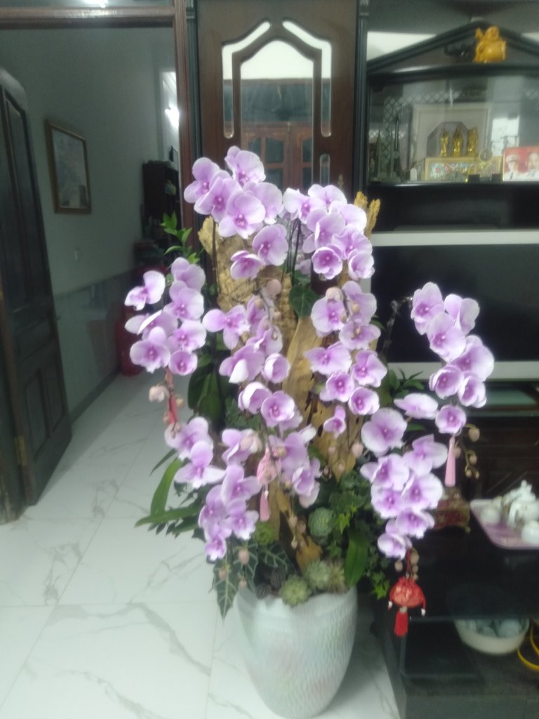 IMG20260209201419.jpg