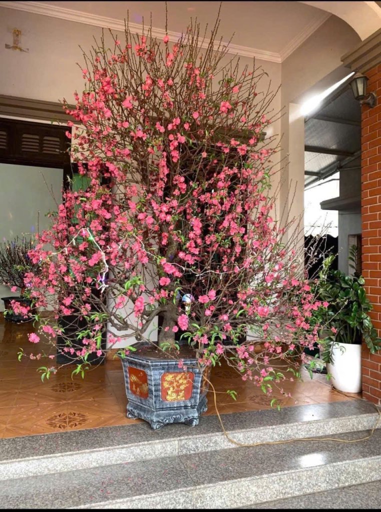 z7521465475295_54e1e36bee13f520c1e1a408cb690eb1.jpg