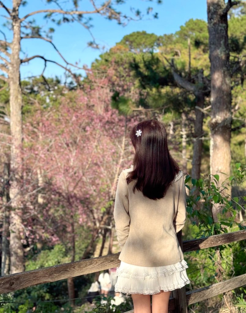 bf8a363f-53c0-4cfb-b10f-ff1f1bc9e443.jpg