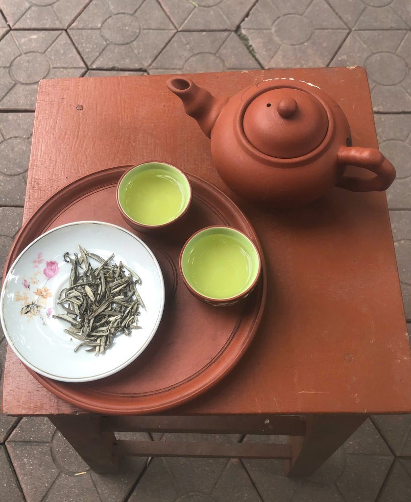 Bạch tiên trà.jpg