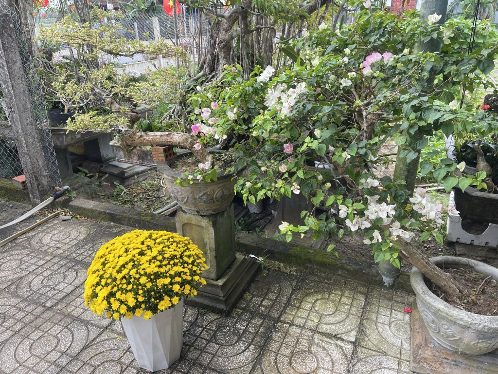IMG_8890.jpeg