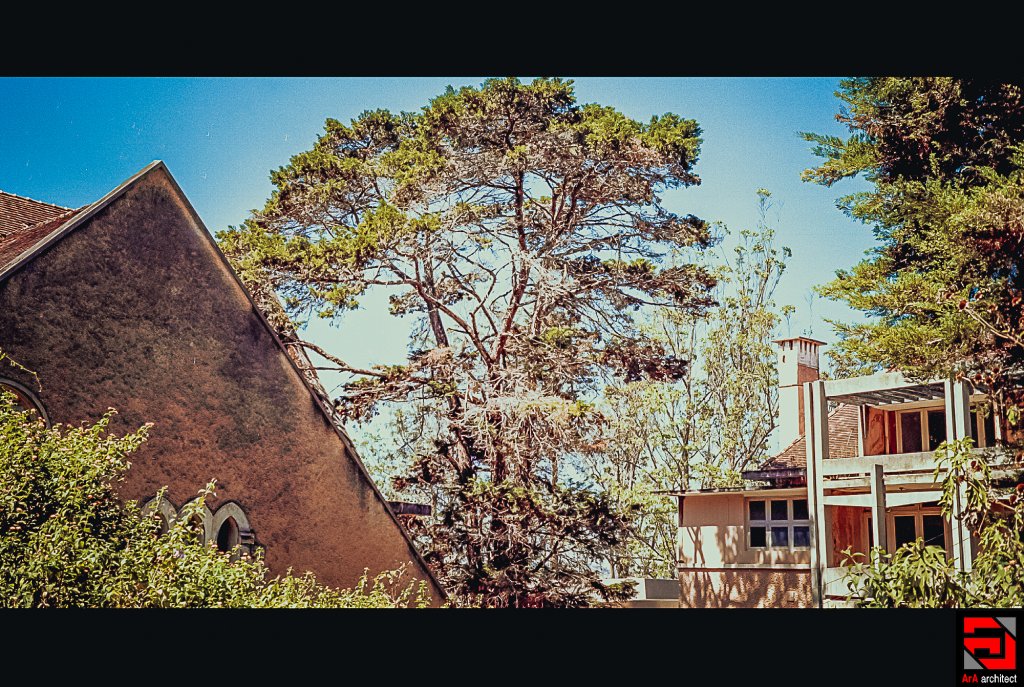 Scan-0034.JPG