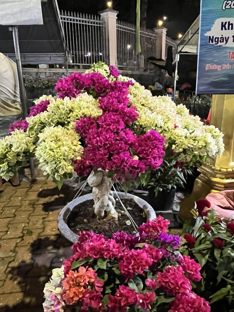 IMG_8437.jpeg