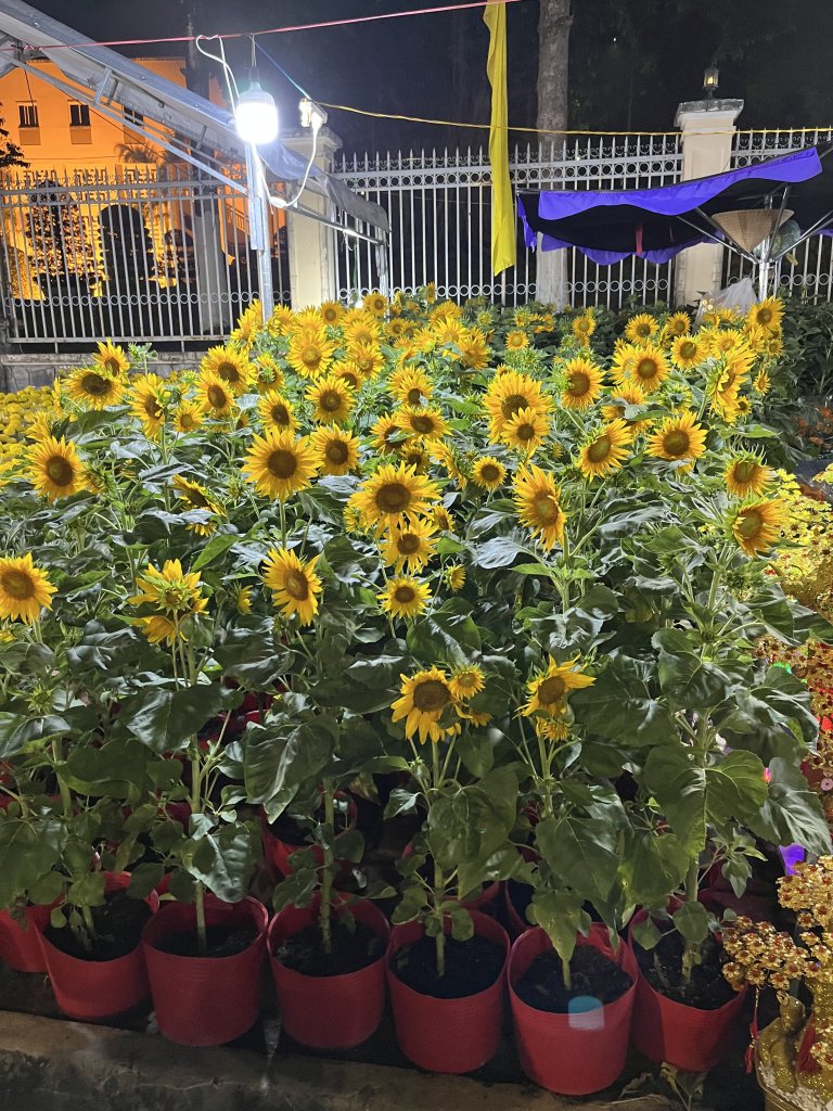 IMG_8438.jpeg