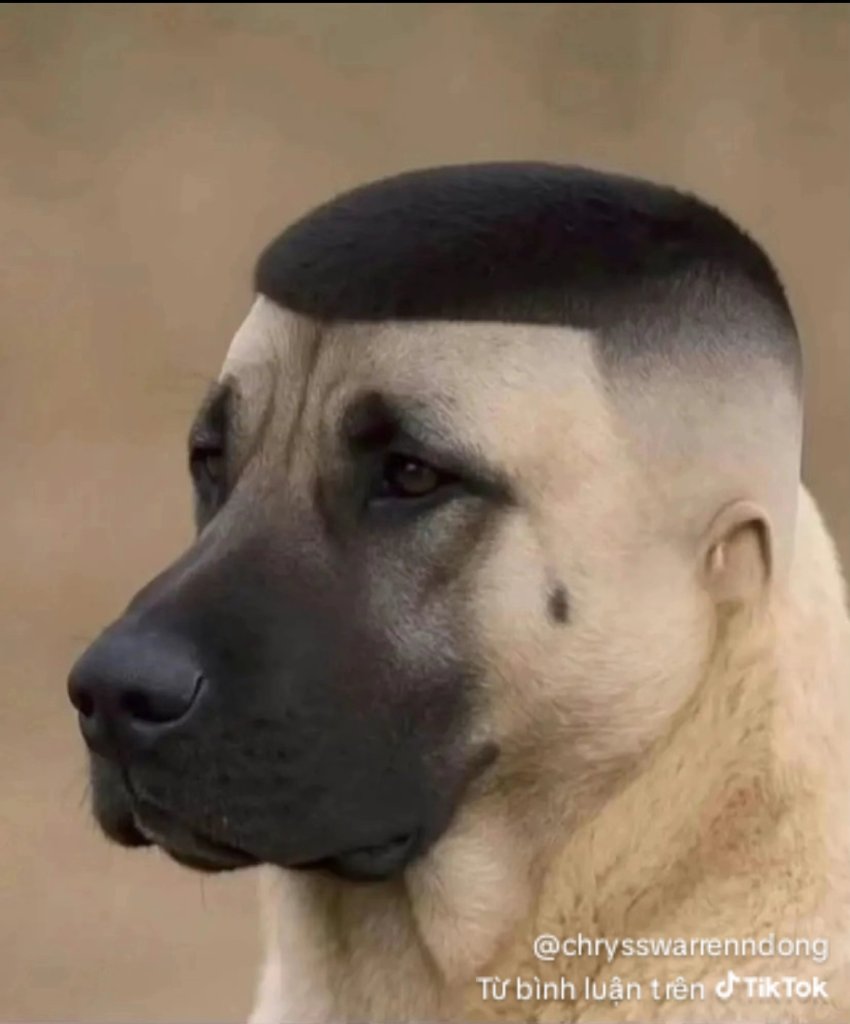 1758899612148.jpg