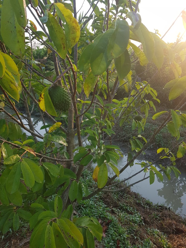 20260126_065338.jpg