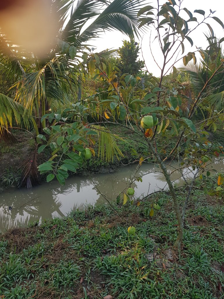 20260126_065104.jpg