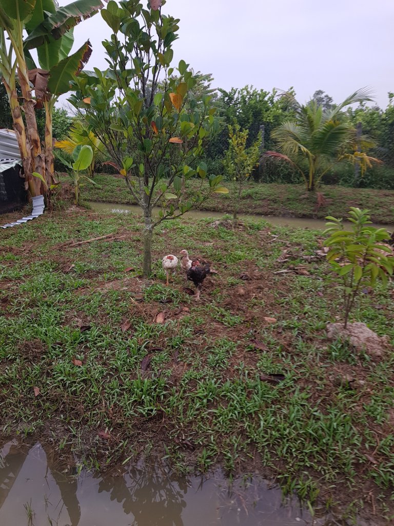 20260122_064548.jpg