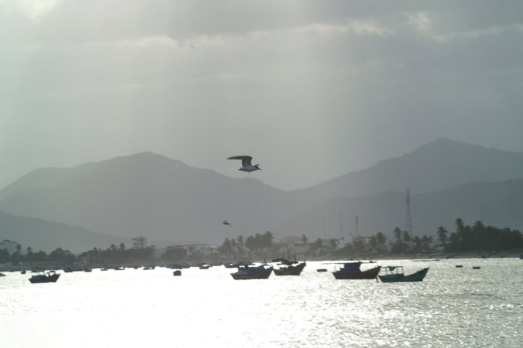 PICT0258.jpg