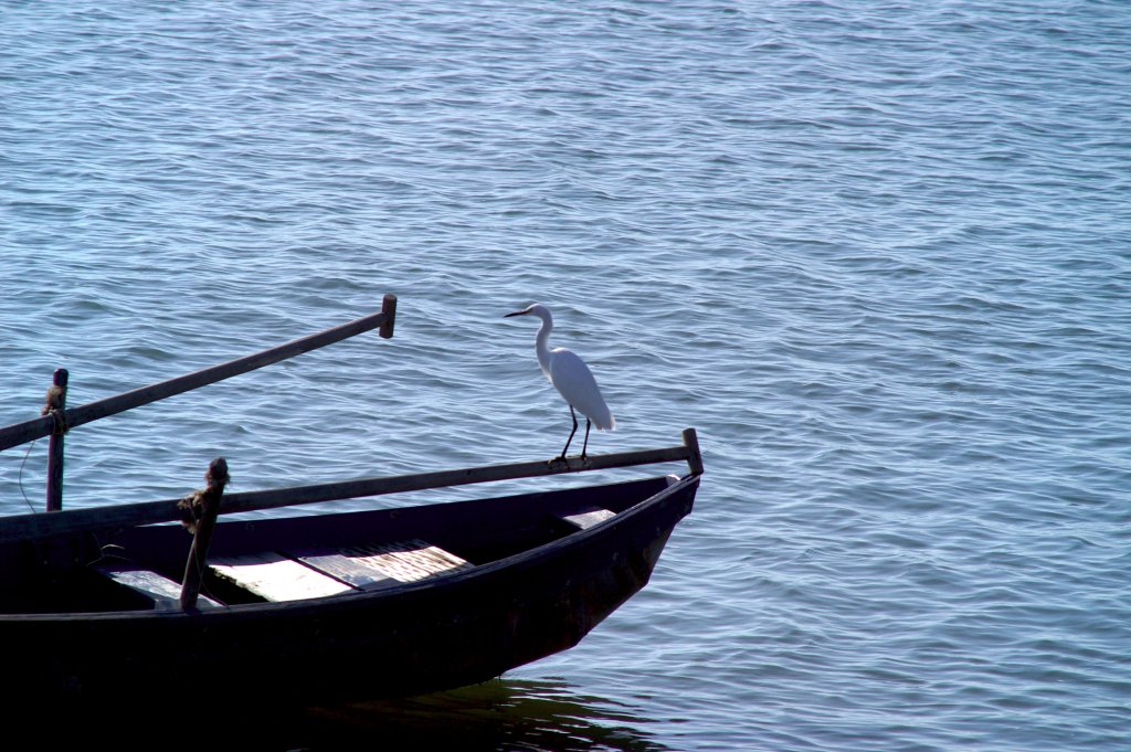 PICT0366.jpg