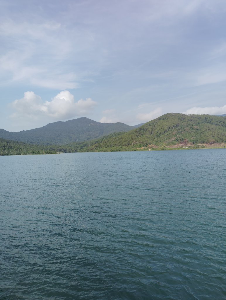 IMG_20260213_153334.jpg