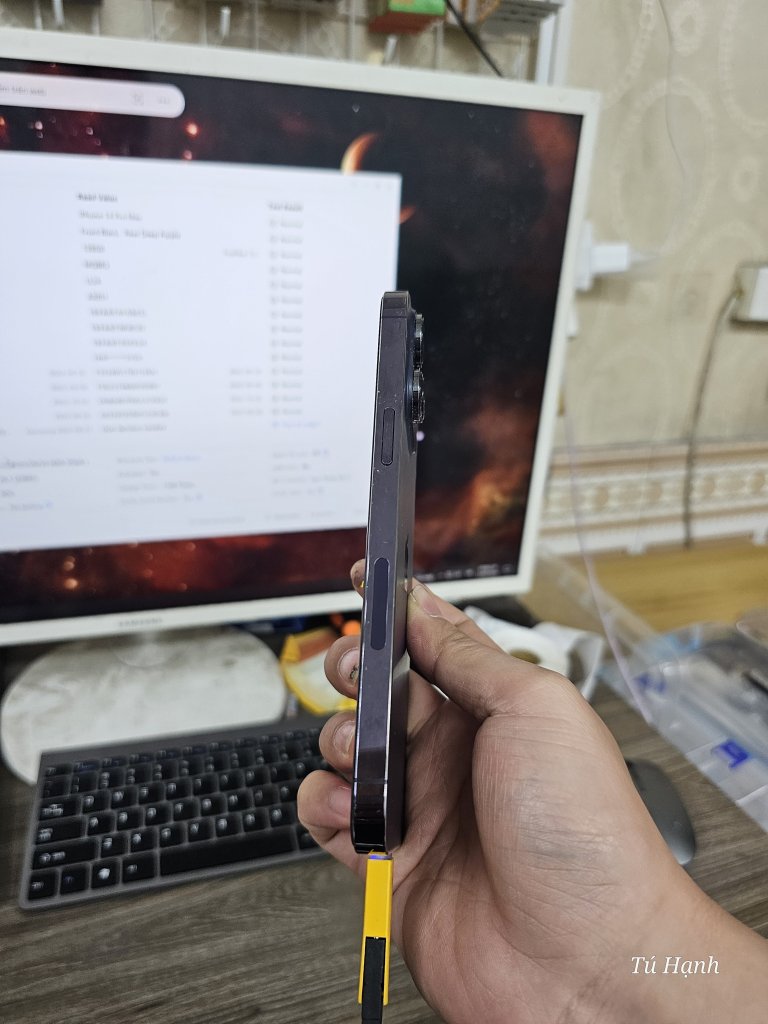 1000003005.jpg