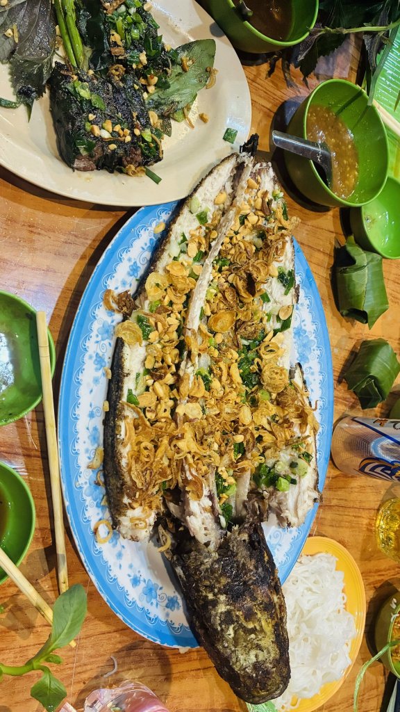 478.jpg