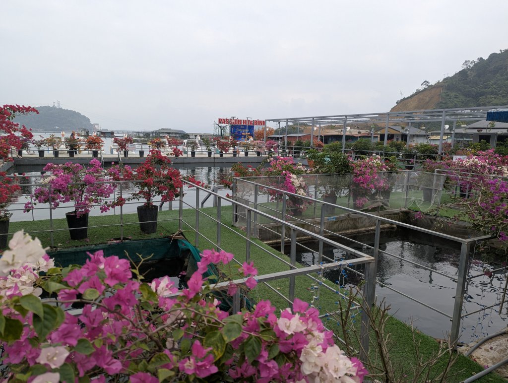 PXL_20260127_035653450.RAW-01.COVER.jpg