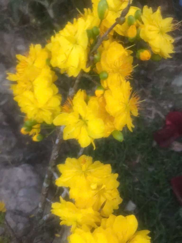 IMG_20260214_094320.jpg