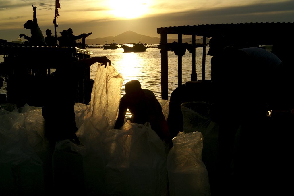 PICT0553.jpg