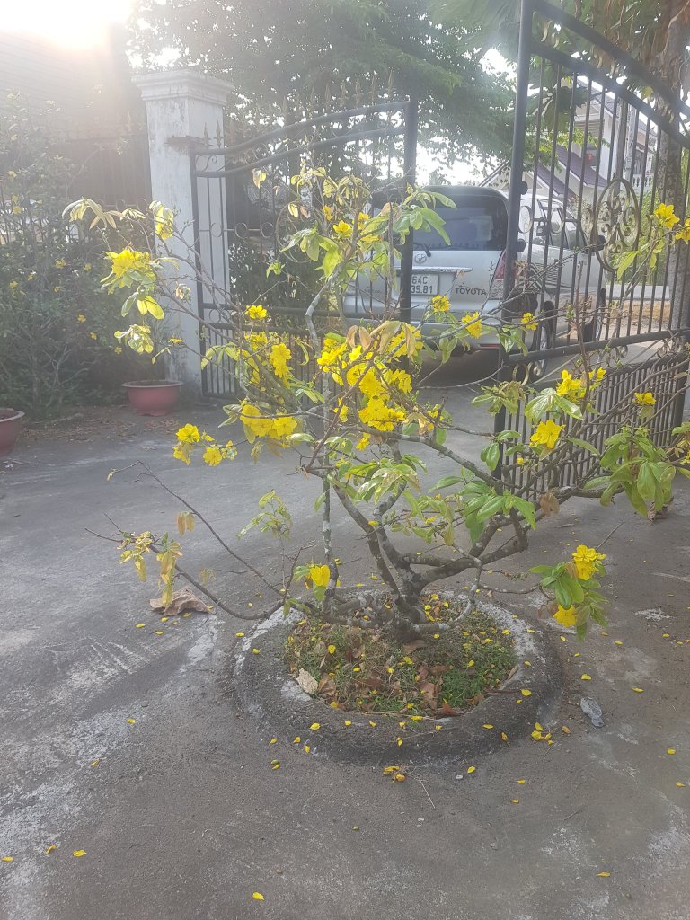 20260215_080441.jpg