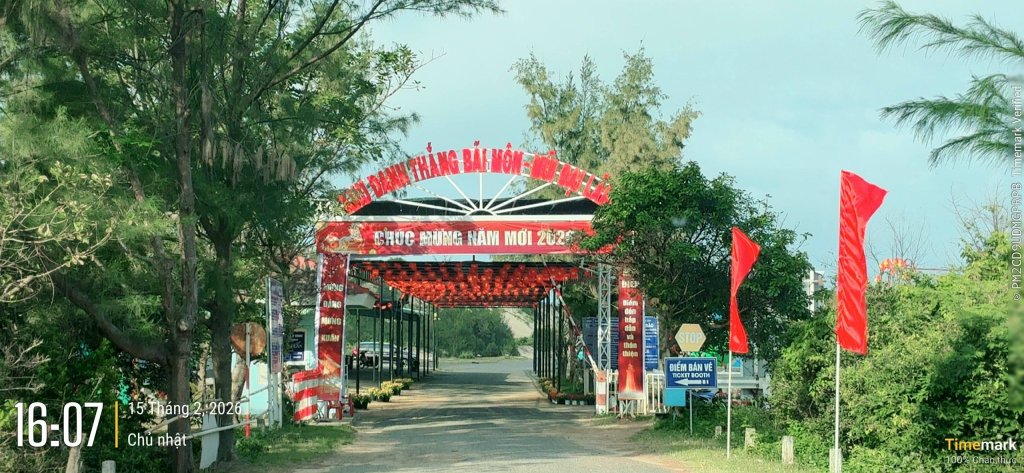 594.jpg