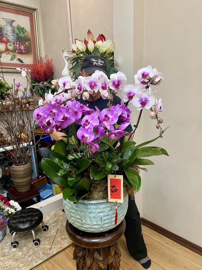 IMG_3232.jpeg