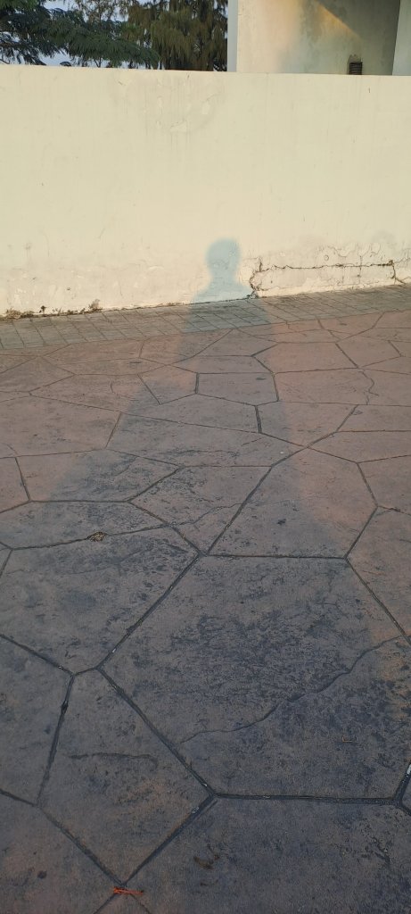 20260129_070710.jpg