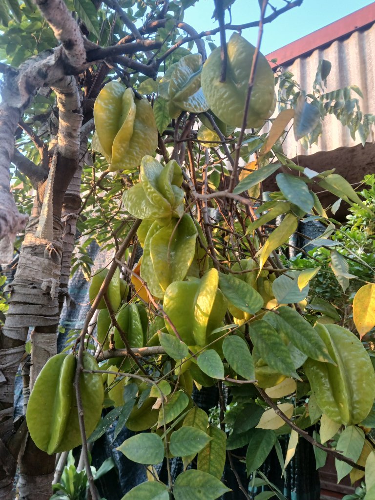 20260215_172443.jpg