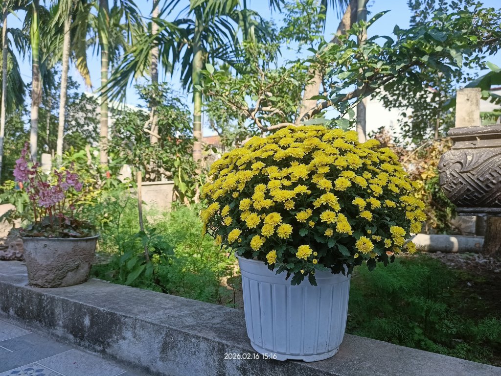 IMG20260216151650.jpg