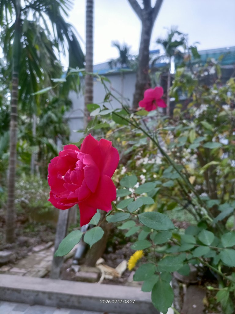 IMG20260217082715.jpg
