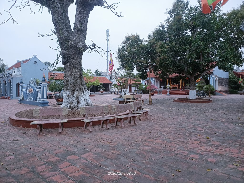 IMG20260218093049.jpg