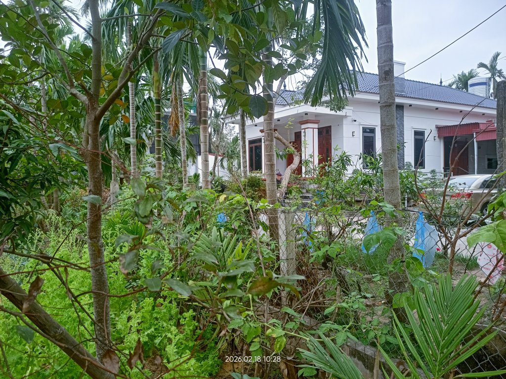 IMG20260218102807.jpg