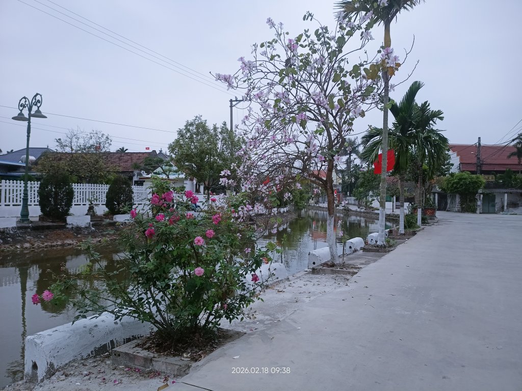 IMG20260218093821.jpg