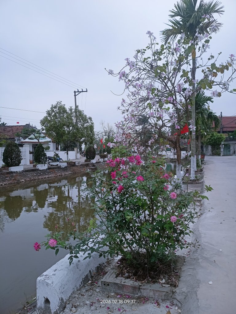 IMG20260218093757.jpg