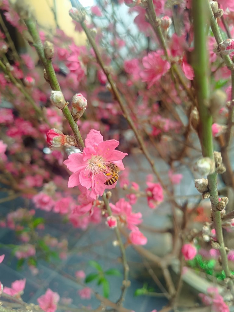 IMG_20260217_112703.jpg