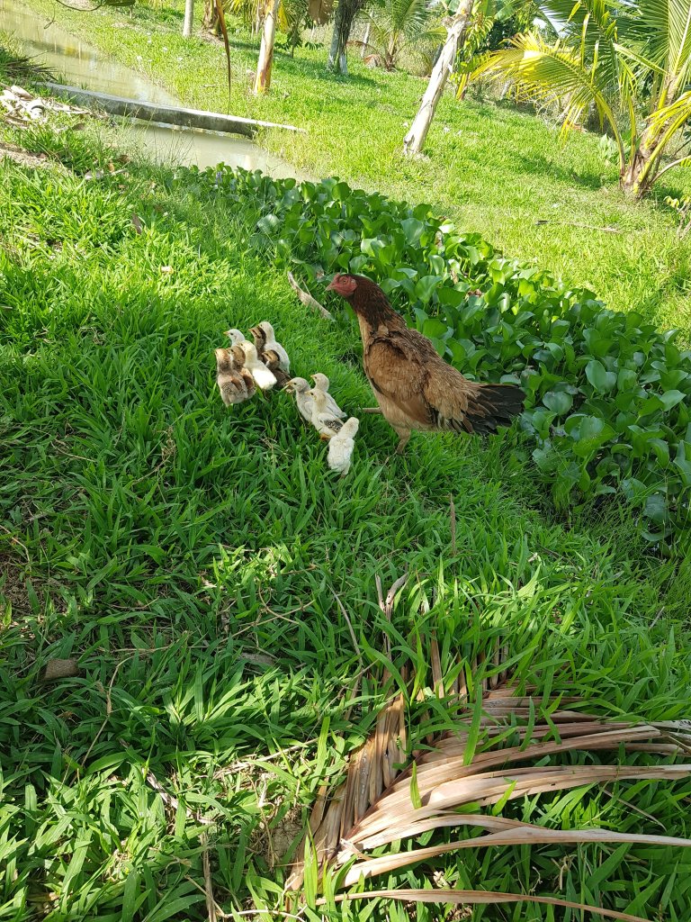 20260219_093141.jpg