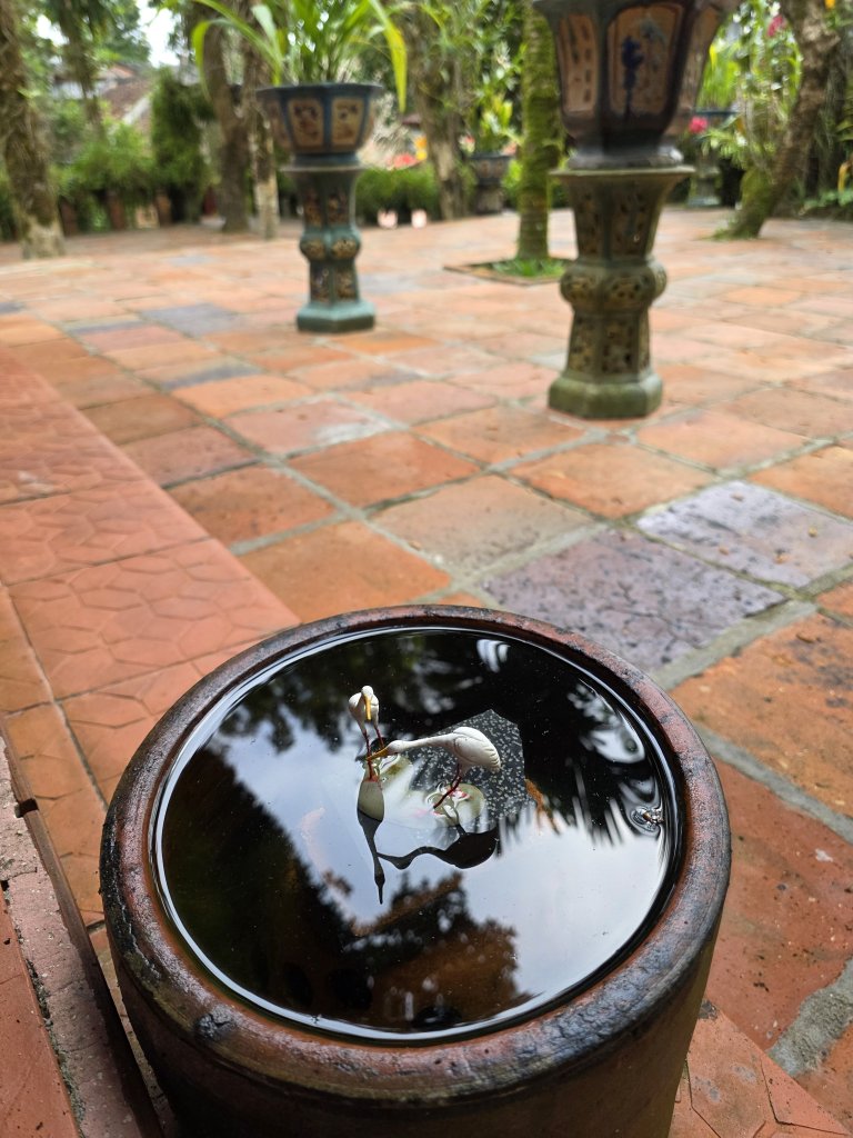 1000040175.jpg