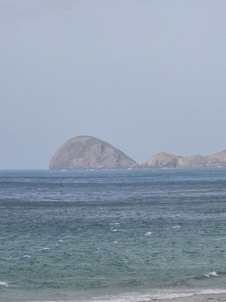 20260219_085304.jpg